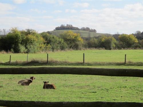 דירות Long Wittenham The Red Barn מראה חיצוני תמונה