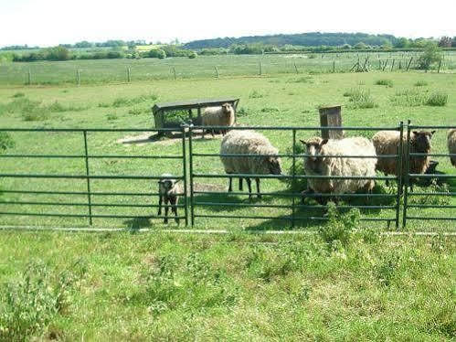 דירות Long Wittenham The Red Barn מראה חיצוני תמונה